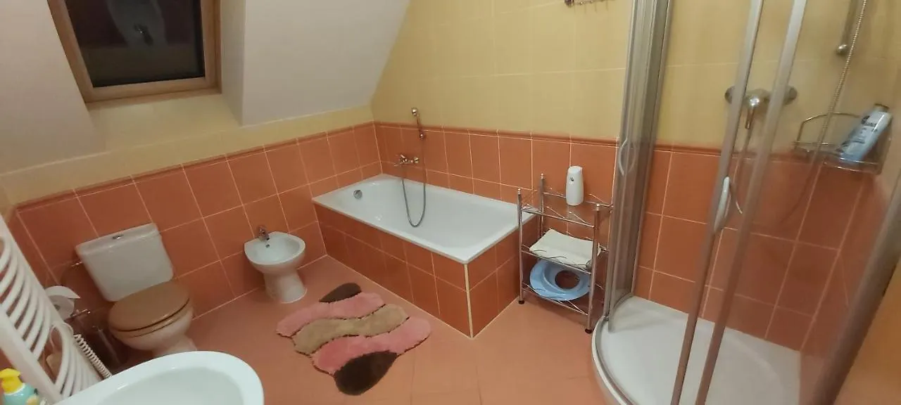 Villa Gejzir 16 卡罗维发利